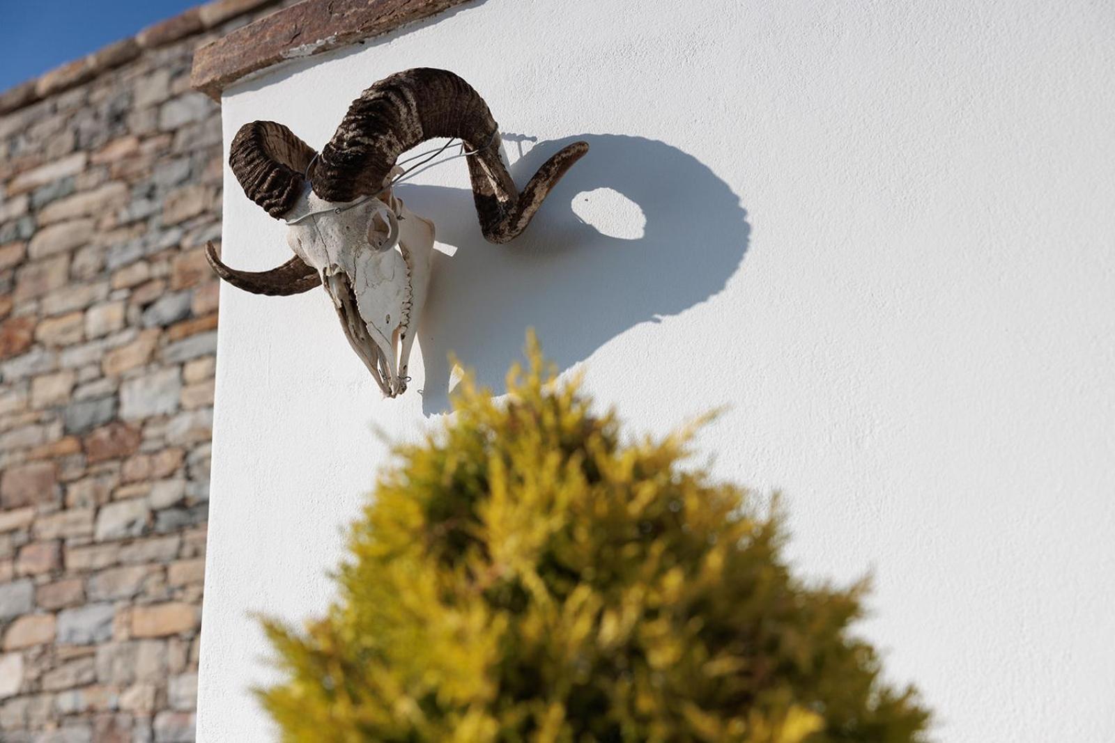 Villa Papa Glinado Naxos Dış mekan fotoğraf